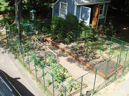 need veggie garden protection fence?