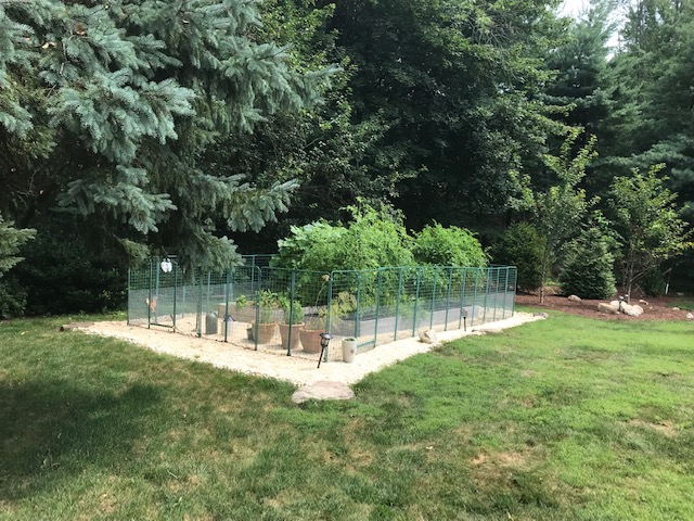 Large Garden 14 x 24 using Modular Deer Fencing