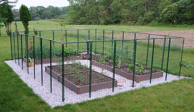 Customer 12 x 18 Garden Layout with raised beds on gravel
