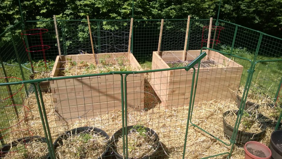 Raised Bed and containter setup