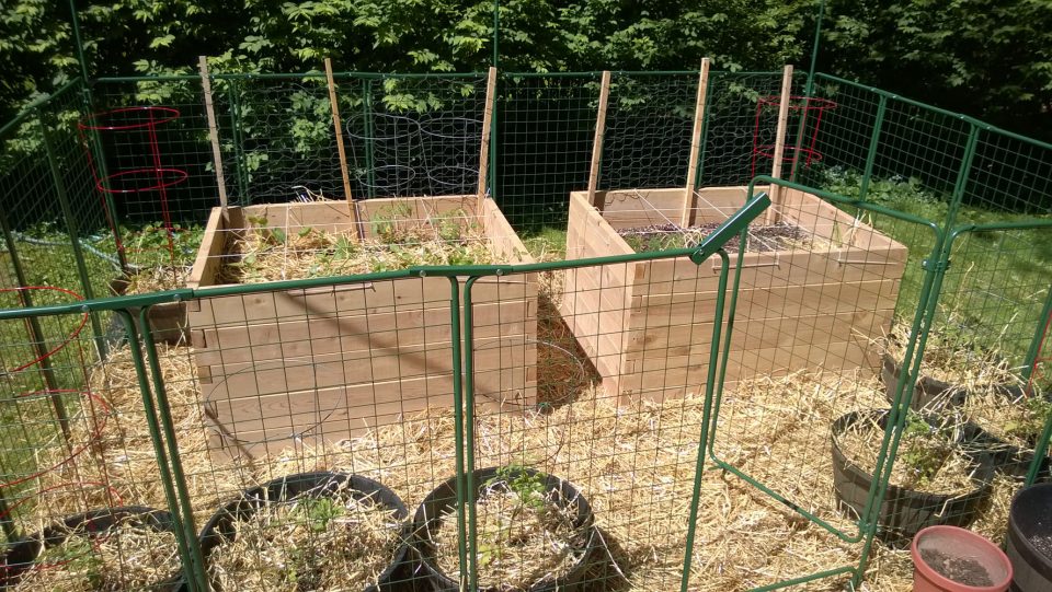 Raised Bed and containter setup