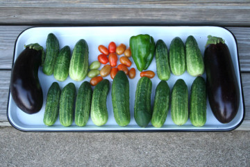 example of a harvest using the garden defender fencing