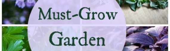 Must-Grow Kitchen Garden Herb Plants by Ang England