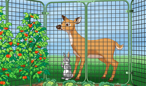 deer-rabbit-fence