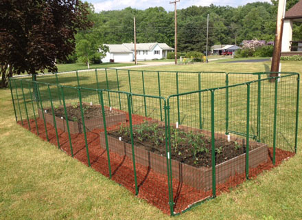 Custom 8 x 20 foot Garden Defender Fencing